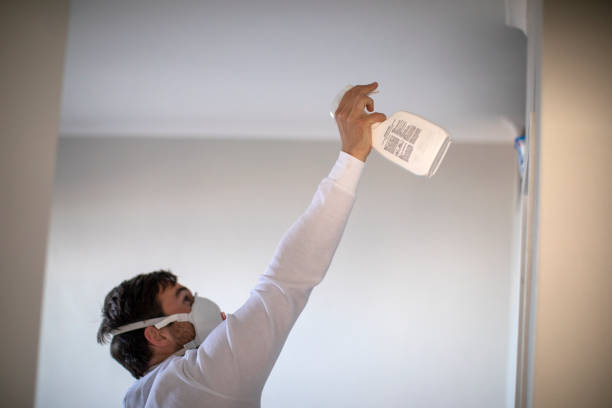 Best Residential Mold Removal  in Brigham City, UT