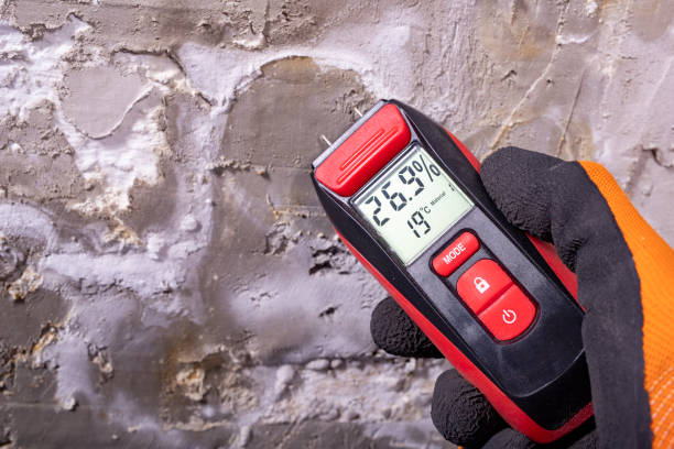 Best Mold Testing  in Brigham City, UT