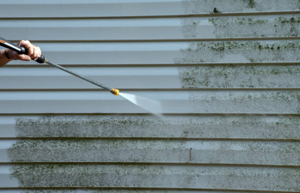 Best Commercial Mold Removal  in Brigham City, UT